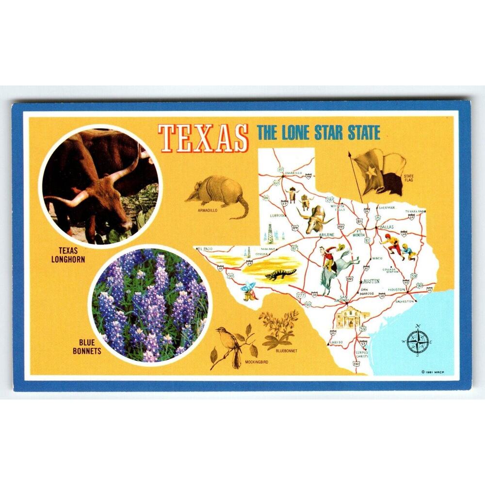 Greetings From Texas Map Postcard Armadillo Longhorn Blue Bonnets Chrome Regal